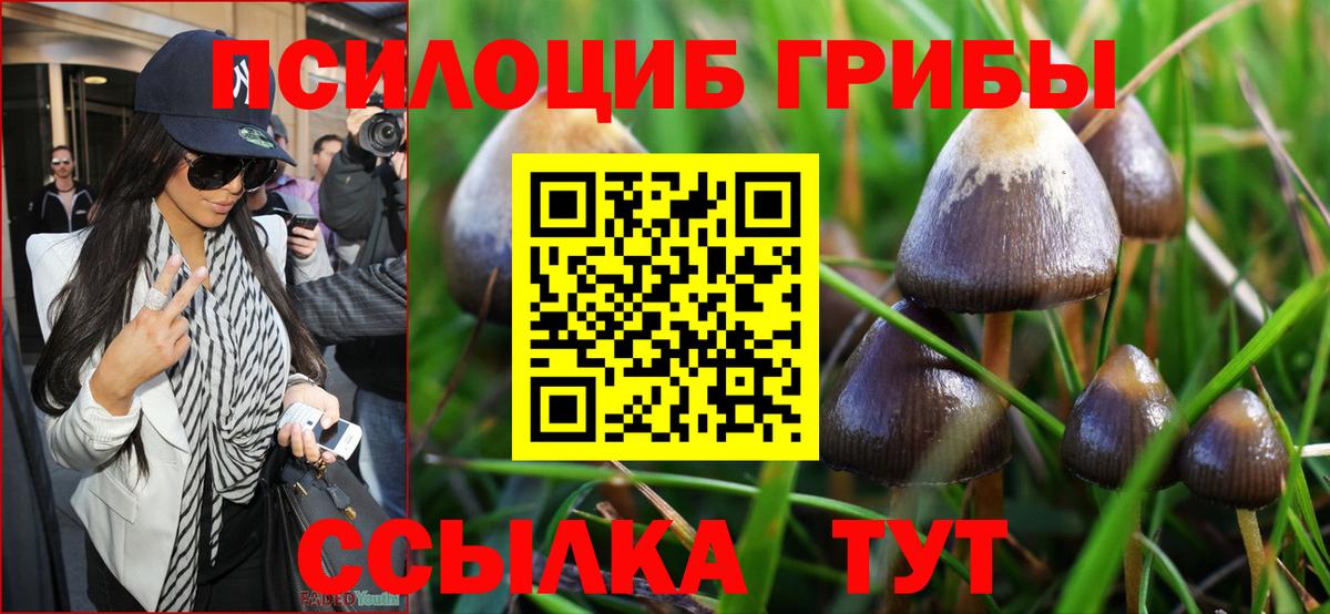 Галлюциногенные грибы Magic Shrooms Надым