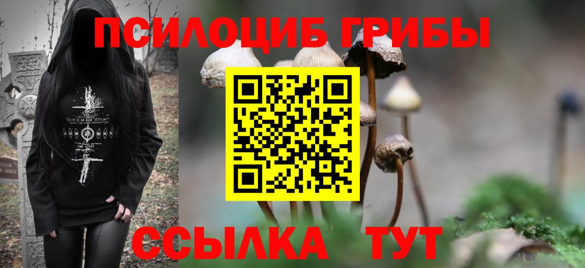 Надым  закладки  Вход с VPN  Псилоцибиновые грибы мухоморы 
